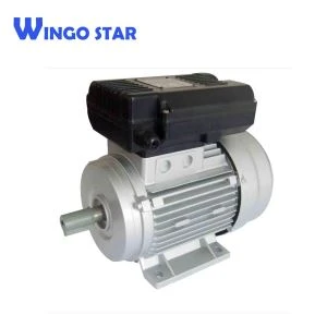 Motor Induksi Satu Fasa YL